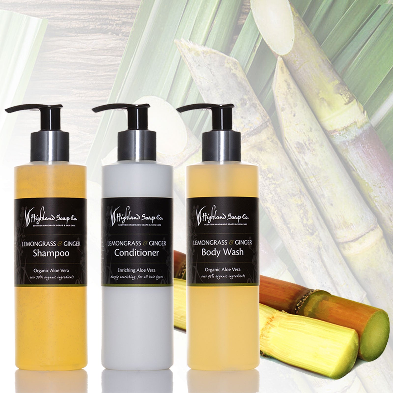 Introducing Our Sweet New Packaging!