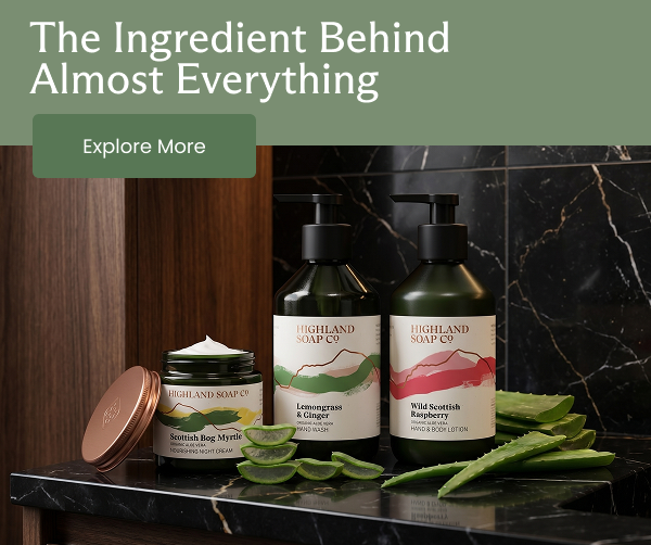 Why We Use Aloe Vera In Almost Everything