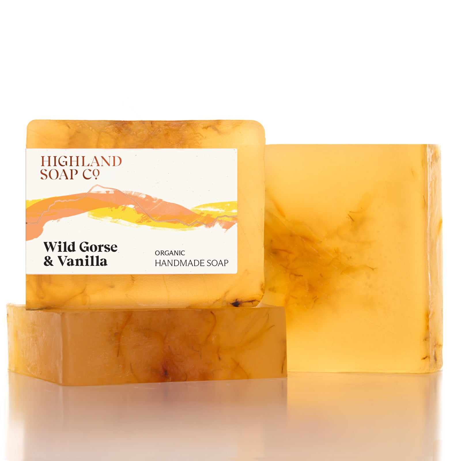 Wild Gorse & Vanilla