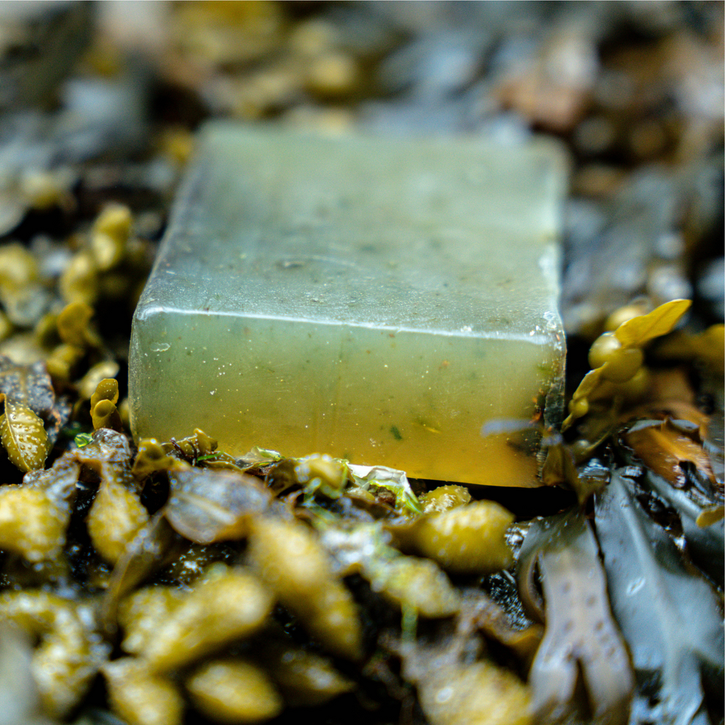 Hebridean Seaweed Soap 150g