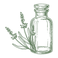 Lavender Essential Oil