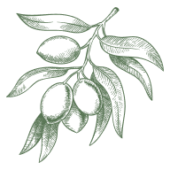 Olive Oil