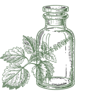 Patchouli Essential Oil