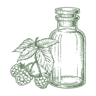 Raspberry Seed Oil