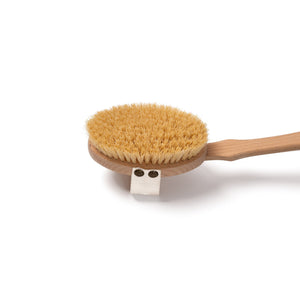 8 x 2.5 Stiff Bristle Body Brush