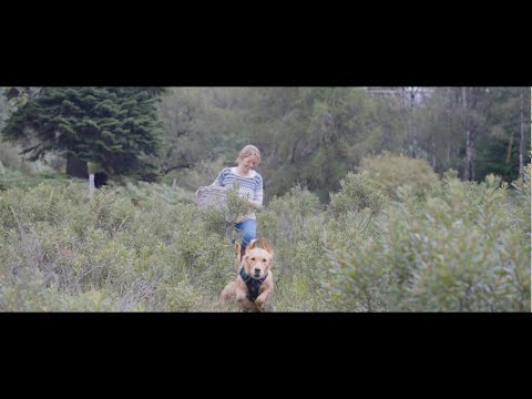 Scottish Bog Myrtle Hand Wash 300ml